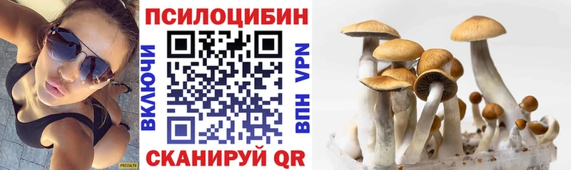 Псилоцибиновые грибы мухоморы  закладки  Гагарин 